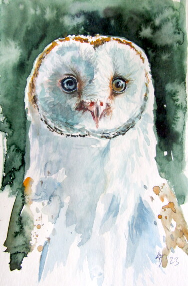 Schilderij getiteld "Barn owl" door Anna Brigitta Kovacs (KAB), Origineel Kunstwerk, Aquarel