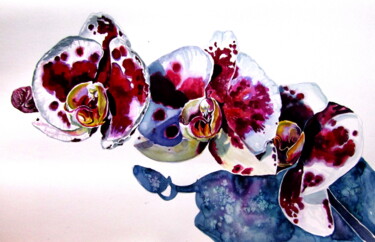 Картина под названием "Orchid floral" - Anna Brigitta Kovacs (KAB), Подлинное произведение искусства, Акварель