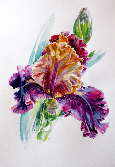 Painting titled "Iris from the garden" by Anna Brigitta Kovacs (KAB), Original Artwork, Watercolor