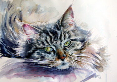 Malarstwo zatytułowany „Resting cat at home” autorstwa Anna Brigitta Kovacs (KAB), Oryginalna praca, Akwarela