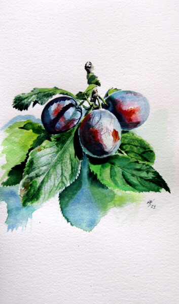 Painting titled "Plum" by Anna Brigitta Kovacs (KAB), Original Artwork, Watercolor