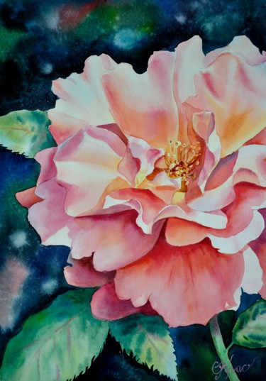 Картина под названием "Rose" - Olga Krasyukova, Подлинное произведение искусства, Акварель