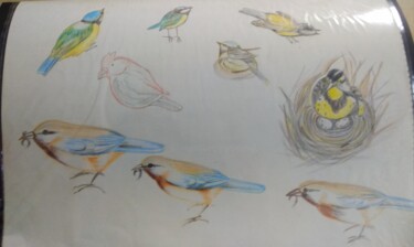 Drawing titled "Lot of birds" by Krishna Art Gallery, Original Artwork, Pencil