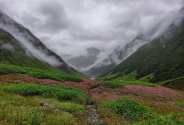 Photography titled "Valley of flowers" by Krishna Art Gallery, Original Artwork, Analog photography