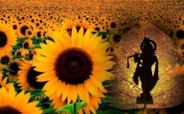 Photography titled "Sunflower" by Krishna Art Gallery, Original Artwork, Analog photography