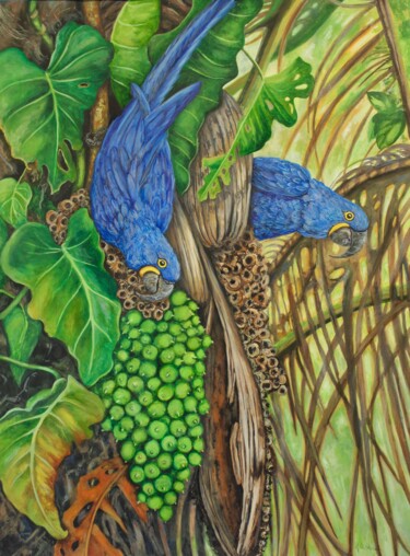 Pittura intitolato "Hyacinth Macaws Eat…" da Kristen Olson Stone, Opera d'arte originale, Acquarello