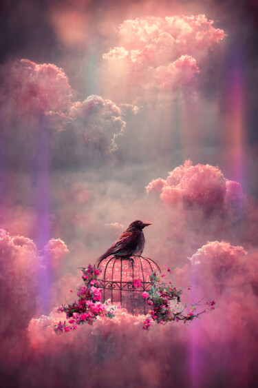 Digitale Kunst mit dem Titel "Bird in a cage on a…" von Kristi Bell, Original-Kunstwerk, Fotomontage