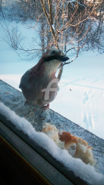 Photographie intitulée "Gift is near" par Kristian Serbak, Œuvre d'art originale, Photographie numérique