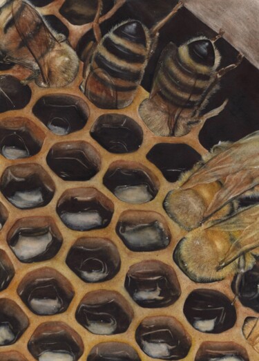 Painting titled "Bees" by Kristina Maslakova, Original Artwork, Watercolor