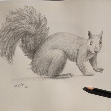 Desenho intitulada "squirrel" por Krystian, Obras de arte originais, Grafite