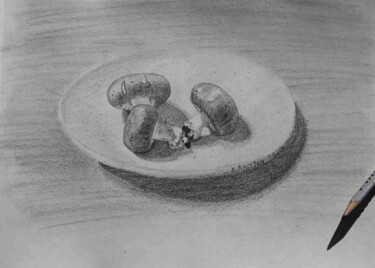 Zeichnungen mit dem Titel "mushrooms" von Krystian, Original-Kunstwerk, Bleistift