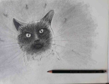 Dibujo titulada "Cat's dream" por Krystian, Obra de arte original, Grafito