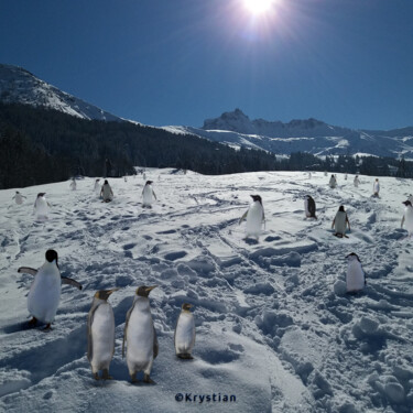 Arte digitale intitolato "Penguins" da Krystian, Opera d'arte originale, Fotografia manipolata