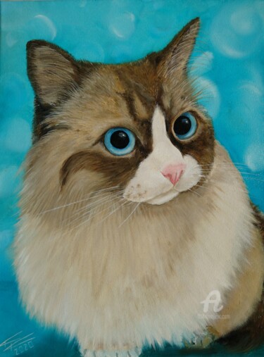 Peinture intitulée "Kitty" par Krystian Kaplon, Œuvre d'art originale, Huile