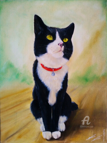 Painting titled "My cat I" by Krystian Kaplon, Original Artwork, Oil