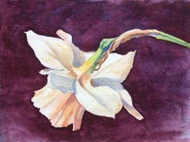 Painting titled "Daffodil" by Krystyna Szczepanowski, Original Artwork, Watercolor