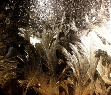 Фотография под названием "Mroz II / Frost" - Krzysztof Lozowski, Подлинное произведение искусства
