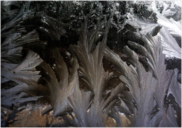 Фотография под названием "Mroz III / Frost" - Krzysztof Lozowski, Подлинное произведение искусства