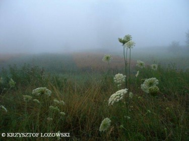 Photography titled "Landscapes" by Krzysztof Lozowski, Original Artwork