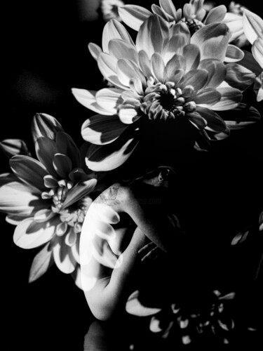 Photography titled "' Flowers  ' ( Gela…" by Krzysztof Swęd, Original Artwork, Analog photography