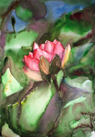 Картина под названием "Lotus, a beautiful…" - Ksana Kuznezova, Подлинное произведение искусства, Акварель