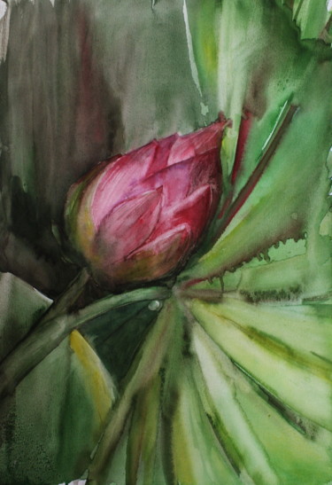 Pintura intitulada "Lotus flower  befor…" por Ksana Kuznezova, Obras de arte originais, Aquarela