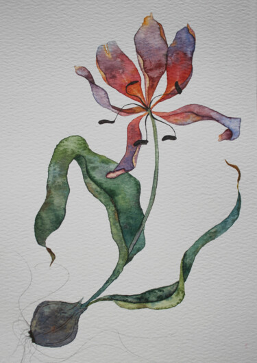 Pittura intitolato "withered tulip" da Ksenia Tarasova, Opera d'arte originale, Acquarello