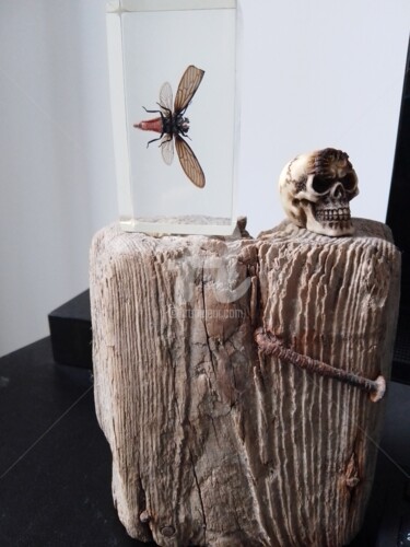 Sculpture titled "instalation" by Ksenia Xenia, Original Artwork, Collages