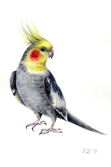 Картина под названием "Corella parrot wate…" - Kseniia Tikhomirova, Подлинное произведение искусства, Акварель