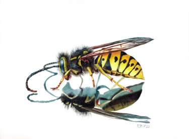 Картина под названием "Wasp and its reflec…" - Kseniia Tikhomirova, Подлинное произведение искусства, Акварель