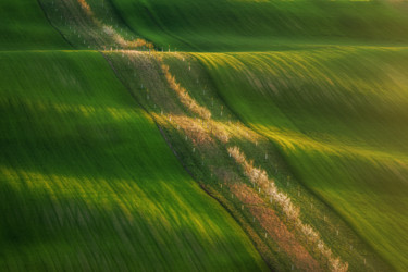 Fotografia zatytułowany „Moravian green wawes” autorstwa Martin Kucera, Oryginalna praca, Fotografia cyfrowa