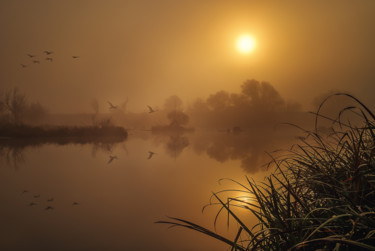 Photographie intitulée "Magical morning" par Martin Kucera, Œuvre d'art originale, Photographie argentique