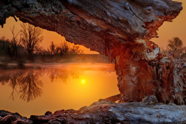 Photographie intitulée "Sun in the net" par Martin Kucera, Œuvre d'art originale, Photographie argentique