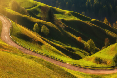 Fotografia zatytułowany „On a green waves” autorstwa Martin Kucera, Oryginalna praca, Fotografia cyfrowa