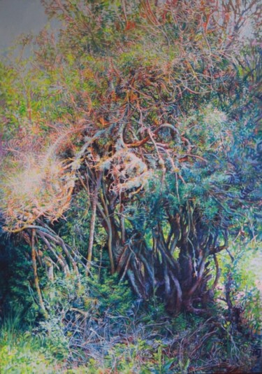 Ferahfeza Peinture intitulée "Ferahfeza" par Kudret Türküm, Œuvre d'art originale, Huile