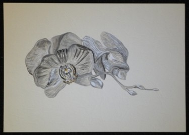 Drawing titled "Orchidée" by Sergey Kuimov, Original Artwork, Other