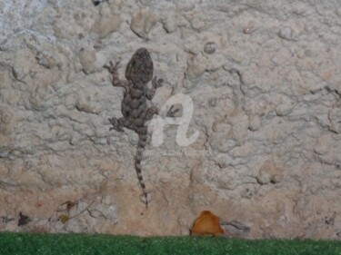 Malerei mit dem Titel "Bébé gecko....envir…" von Kulhaneck, Original-Kunstwerk