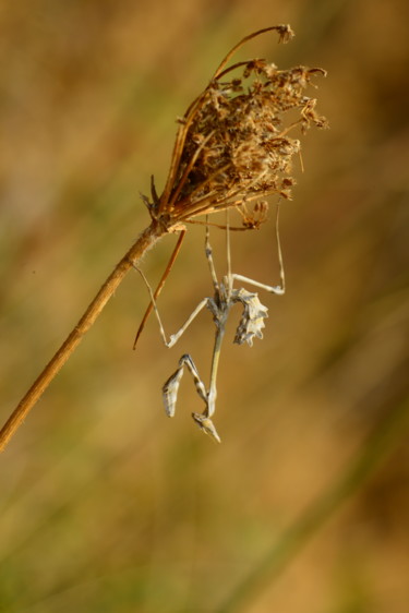 Photography titled "standing backwards…" by Batuhan Kurt, Original Artwork, Digital Photography