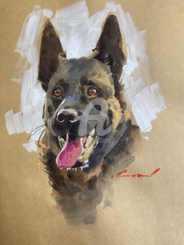 Painting titled "malinois" by Kwon, Original Artwork, Gouache