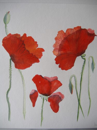 Peinture intitulée "Coquelicot" par L'Atelier De Nanou, Œuvre d'art originale, Aquarelle