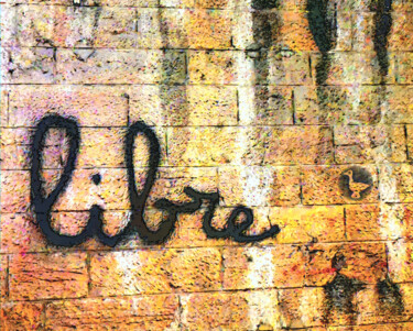 Fotografia zatytułowany „Libre” autorstwa L'Oiseau Fou, Oryginalna praca, Fotografia cyfrowa