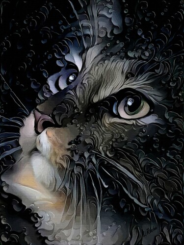 数字艺术 标题为“El Divino, cat” 由L.Roche, 原创艺术品, 丙烯