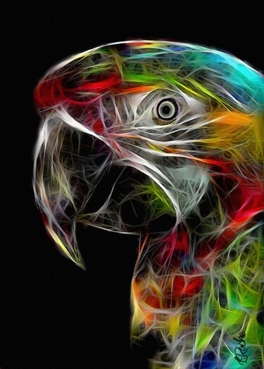 Arte digital titulada "Kopi, parrot" por L.Roche, Obra de arte original, Acrílico