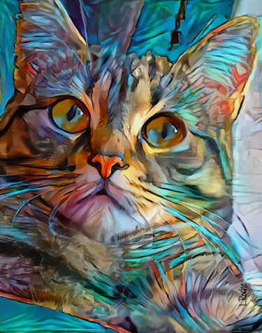 Цифровое искусство под названием "Cooper, cat - Mix m…" - L.Roche, Подлинное произведение искусства, Акрил