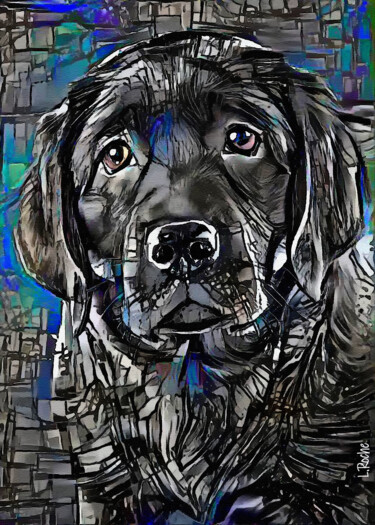 Digital Arts titled "Wako, dog" by L.Roche, Original Artwork, Acrylic