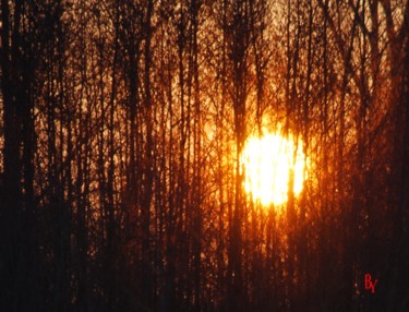 Photographie intitulée "Jeux de soleil" par La Babssy, Œuvre d'art originale