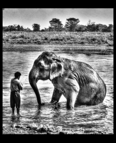 Photography titled "elefant bath" by Laseptieme Couleur, Original Artwork