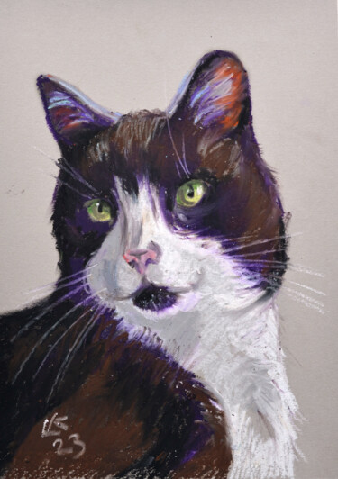 「Tuxedo cat portrait」というタイトルの絵画 Lada Kholoshoによって, オリジナルのアートワーク, パステル