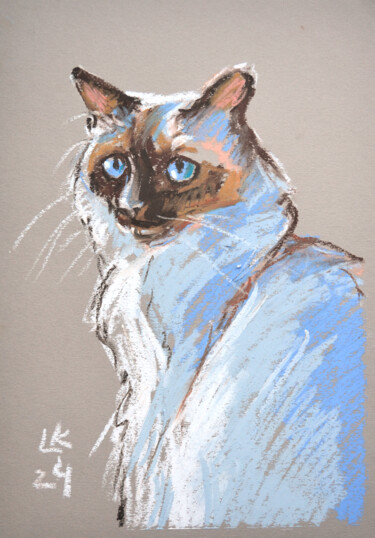Картина под названием "Fluffy Siamese Cat…" - Lada Kholosho, Подлинное произведение искусства, Пастель