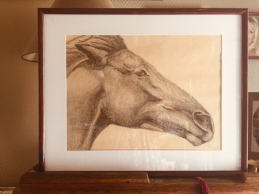 Drawing titled "Cheval" by Pascale Ladoux, Original Artwork, Charcoal